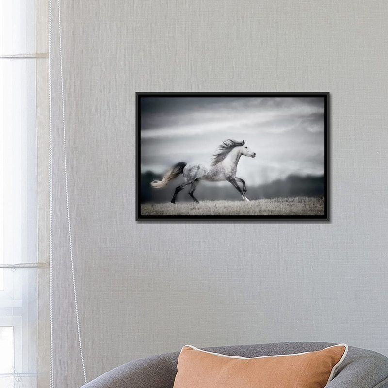 «Wind Blown Mane II» par PH Burchett - Impression sur toile, H 18 po x l 26 po x P 1,5 po, Toile encadrée noire, Pas de tapis