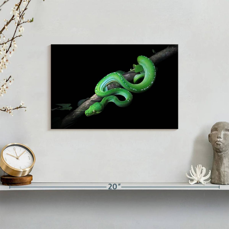 Brampt Green Python Slithering On A Branch, 30" H x 45" W