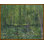 Trees And Undergrowth Print by Van Gogh