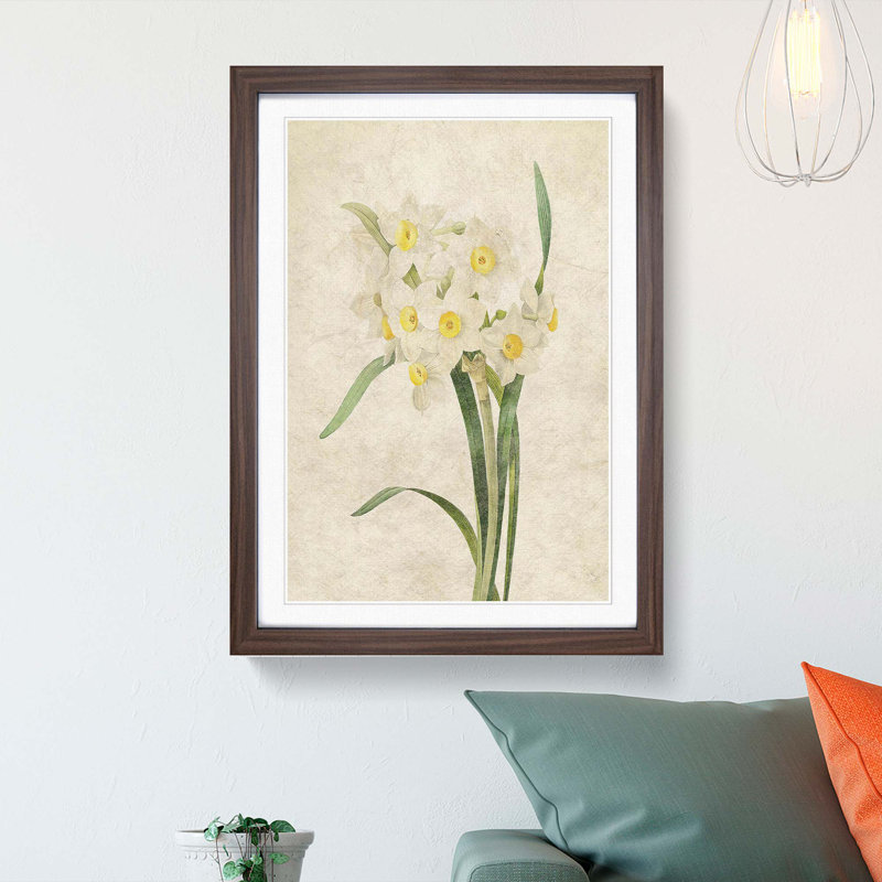 White Daffodils by Pierre-Joseph Redoute - Framed Print, Walnut Framed, 36cm H x 27cm W x 2cm D