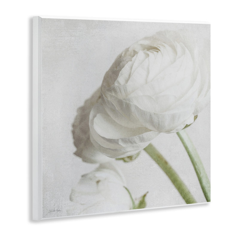 Charmante pivoine blanche par Jennifer Rigsby