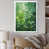 White Picture Framed