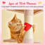 Grand condo 64 "pour chat-848029377-848029378