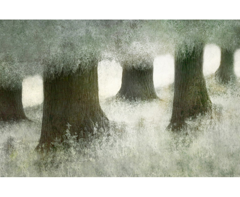 Wrapped Canvas Print, 60.96cm H x 91.44cm W