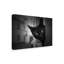 « hello black cat », reproduction de photo sur toile tendue-30312170