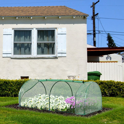 6.5' W x 3.2' D Mini Greenhouse