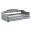 Lit de jour simple rembourré capitonné avec couchette, canapé-lit en velours avec ports USB et ports de charge de type C-1236248568