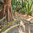 Costantin Natural Stone Garden Stone