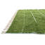 Tapis vert Parra