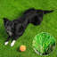 GATCOOL Artificial Grass Turf Rug / Roll-1786171047