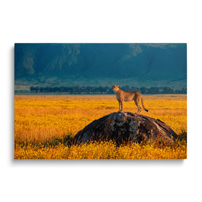 Tableau multicolore sur toile représentant un guépard sur un rocher, paysage de savane, décoration murale picturale pour salon, salle à manger et chambre