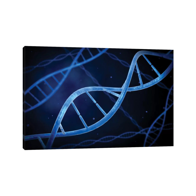 «Microscopic View of ADN I» par Stocktrek Images - impression sur toile tendue, H 8 po x l 12 po x P 0,75 po