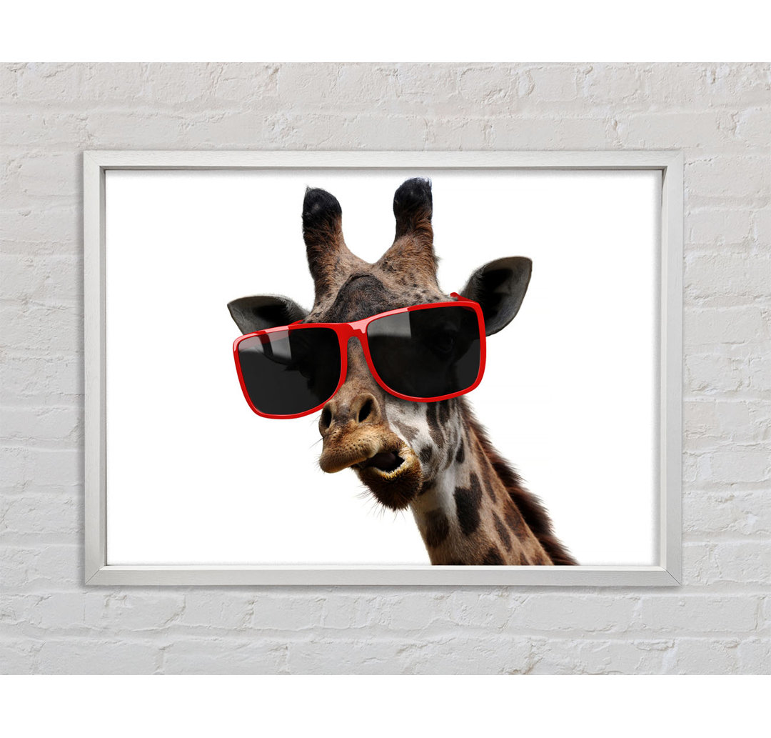 Funky Faced Giraffe Gerahmter Druck