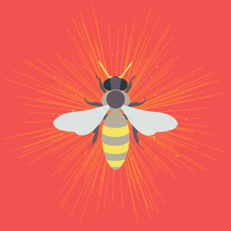 Elof Bee - Wrapped Canvas Print, 30cm H x 30cm W 3.8cm D