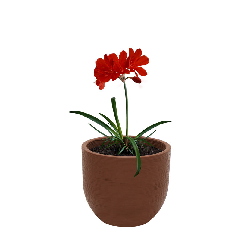 Pot Planter, Brown