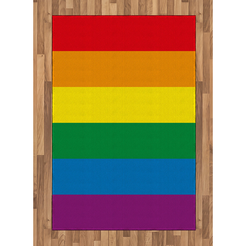 Rainbow High Density Long Fiber Poly Threads Decorative Area Rug Carpet, Rectangle 4' x 5'8"
