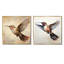Ensemble de 2 reproductions d'art murales sur fond de colibri brun-102587823-102587829