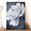 Wrapped Canvas Print-1282959935