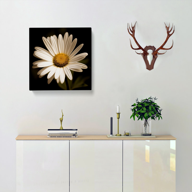 Daisy Photograph No.2 - No Frame Print