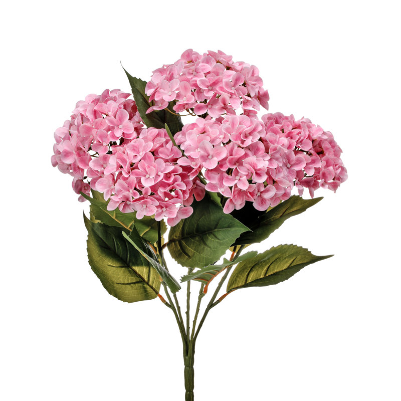 Arrangement d'hortensias, touche naturelle, Rose