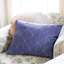 Graph Rectangular Pillow Cover & Insert-2009467496