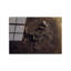 Boze Wall Decor