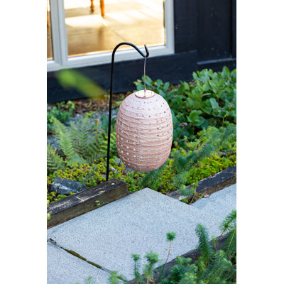 Stella Swiss Dot 14" Barrel Solar Lantern - Rose'