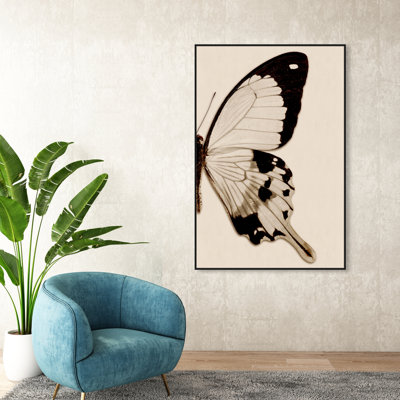 Animaux, sépia, papillon II, insectes - reproduction de photo sur toile