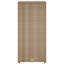 Garden Storage Cabinet 50X55x115 Cm Poly Rattan-547737715