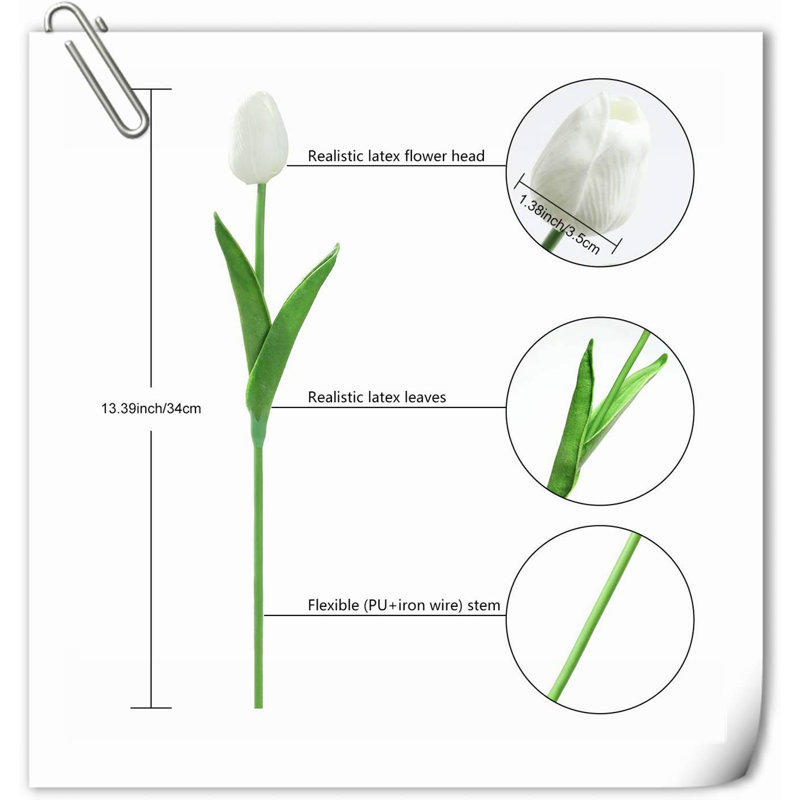 Tulip Arrangement, Blanc