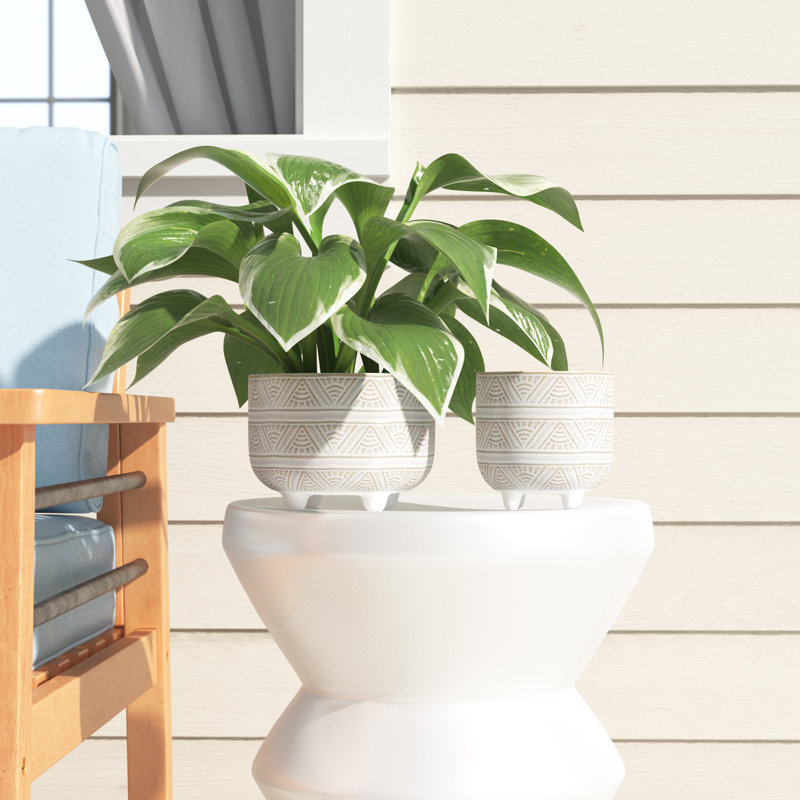 Ceramic Planter
