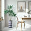 66 plantes-97701522