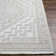 Conyers Oriental Indoor Rug