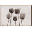 It's Tulip Time by Marmont Hill - Floater Frame Painting on Canvas-1429786516