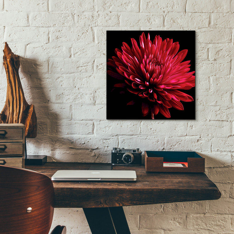 «Red Chrysanthemum On Black» par Tom Quartermaine, H 12 po x l 12 po x P 0,13 po