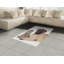 Tapis décoratif à longs fils en fibre de polyester à haute densité Pug-42029002
