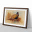 Study of a Cock by Archibald Thorburn - Picture Frame Painting-62761465-62761462