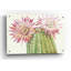 «Desert Blossoms II» par Tim O'Toole, art mural en verre acrylique, 36 po x 24 po-2001719287