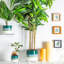 Ceramic Pot Planter-63880904-63880907