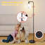 Nussey Black LED Task Floor Lamp