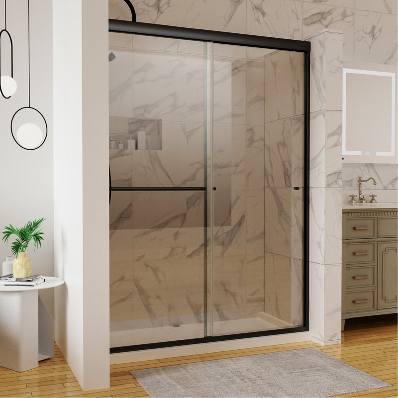 Porte noire mat 54 po x 72 po avec verre transparent et douche à fuites réduites en panneaux