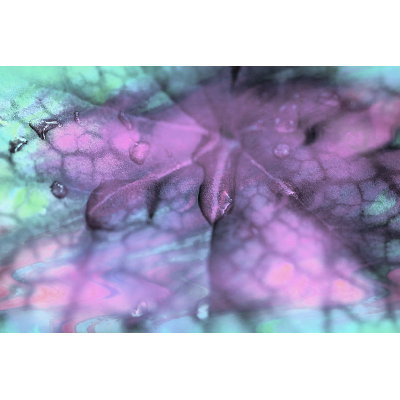 Celestial Dew Drops II by Eva Bane -  Photograph, 30 cm H x 46 cm W, Wrapped Canvas