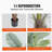 47.99'' Faux Palm Tree