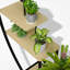 Plant Stand - Set of 5-105501313