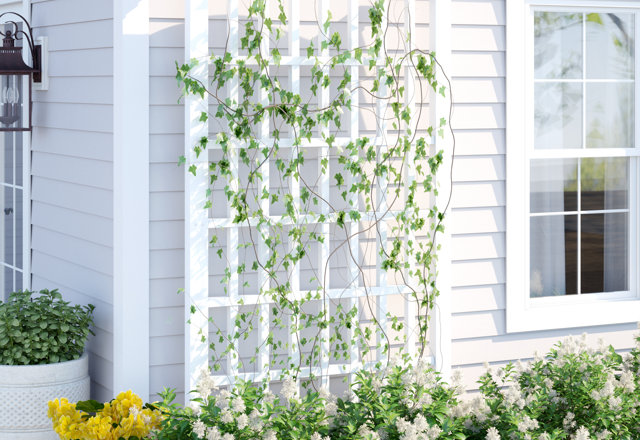 Our Best Trellis Deals