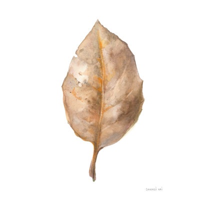 " Fallen Leaf II Crop "