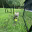 Photos des clients 3 de 3