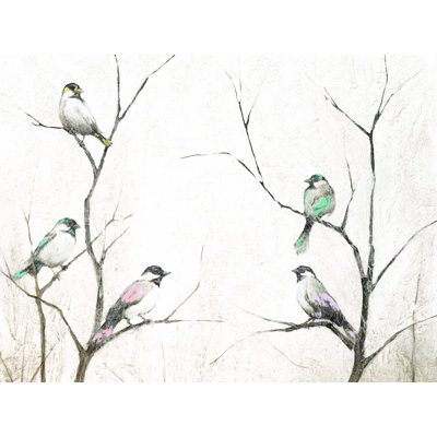 Oiseaux sur branches