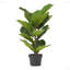 Figuier Achille artificiel en pot