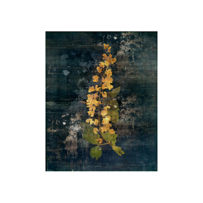 Aroma I Painting by Zoey Riley, Plexi, 50" H x 40" W